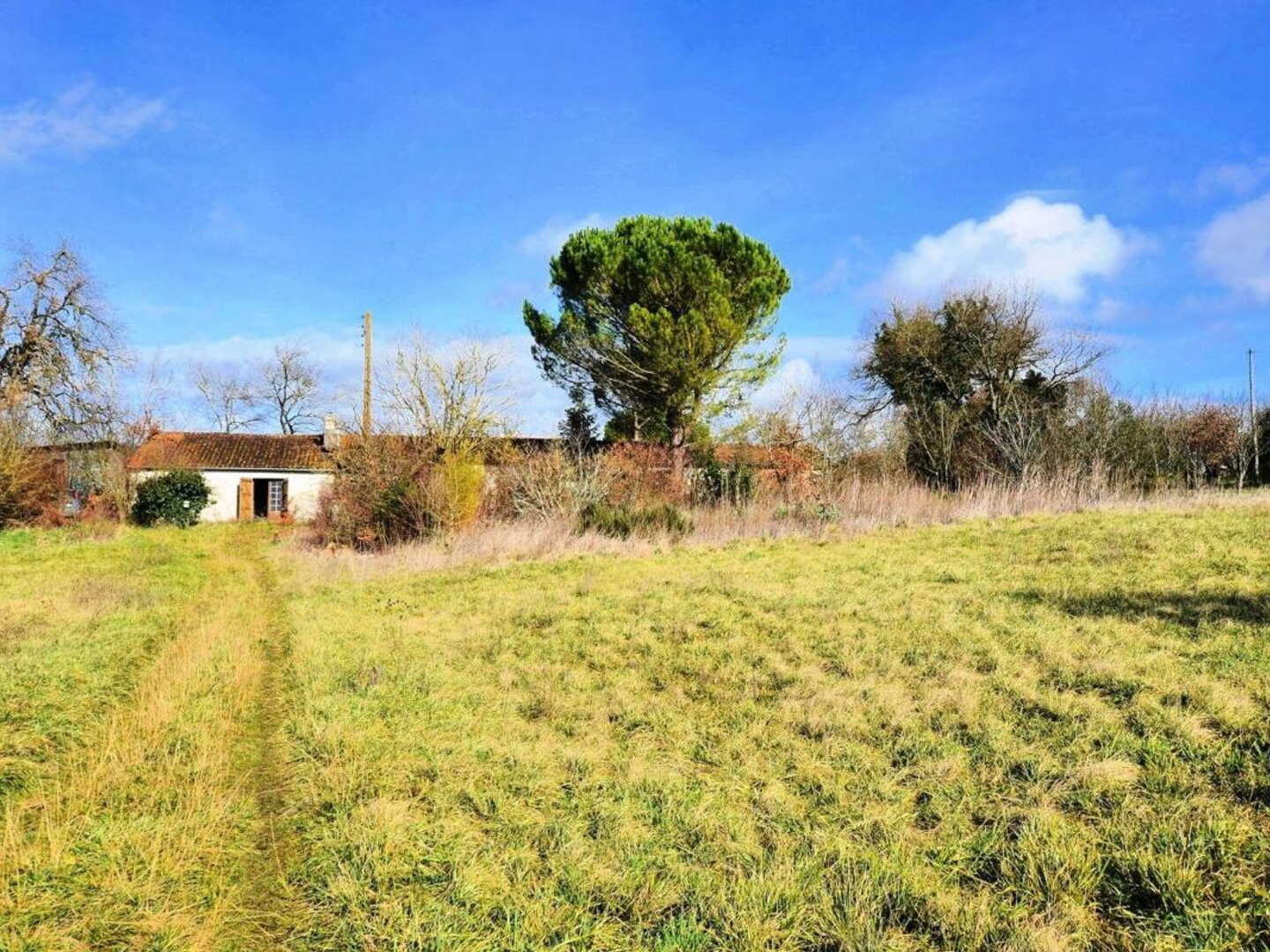 Maison à vendre - 5 pièces - 128m2 - Mouchan (32330)
