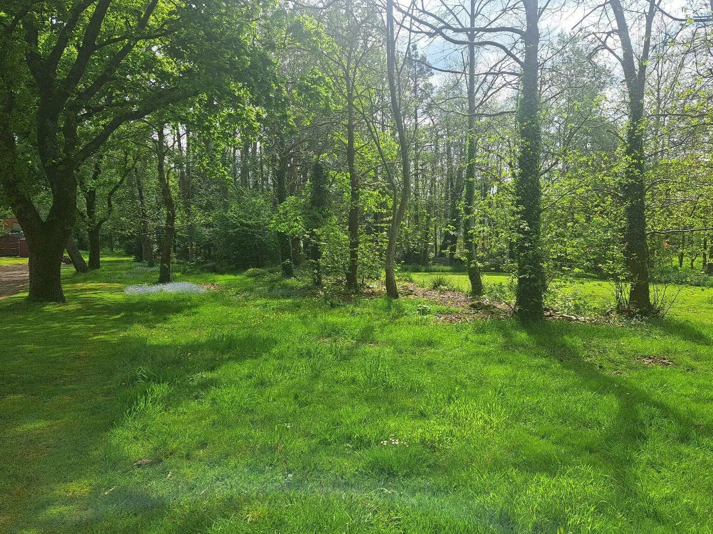 Terrain à vendre - 1023m2 - Rédené (29300)