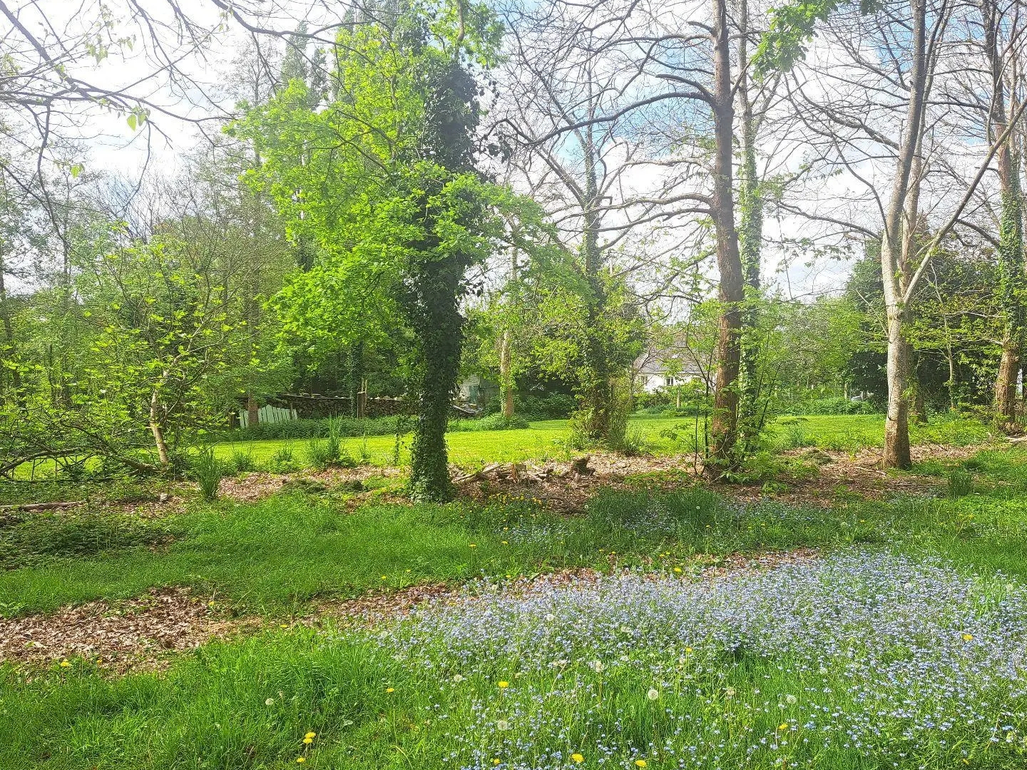 Terrain à vendre - 1023m2 - Rédené (29300)