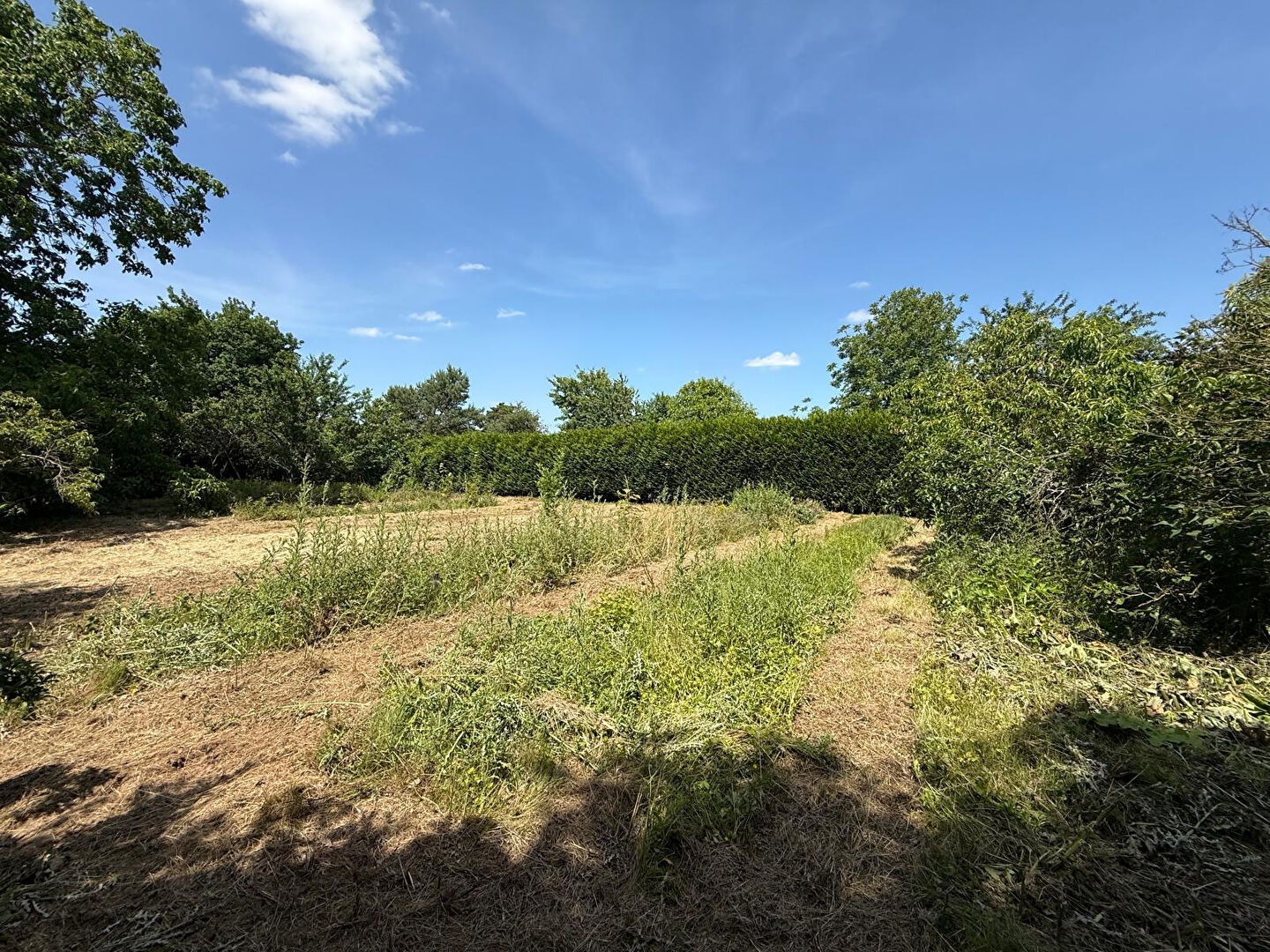 Maison à vendre - 6 pièces - 125m2 - Château-Thierry (02400)