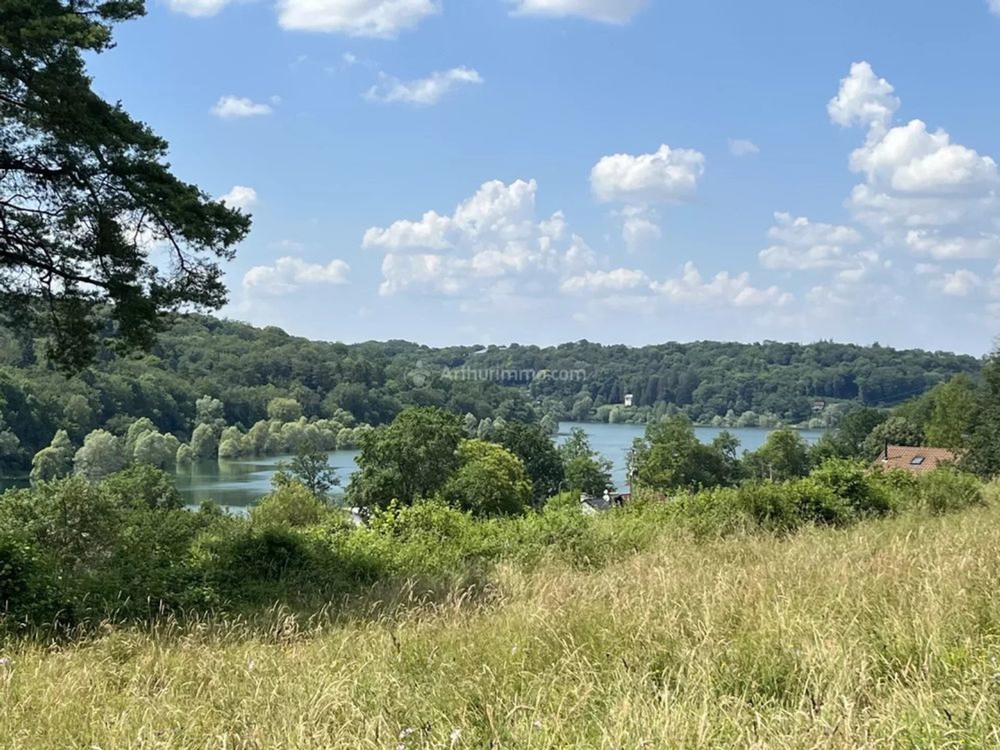Terrain à vendre - 30000m2 - Perrancey-Les-Vie... (52200)