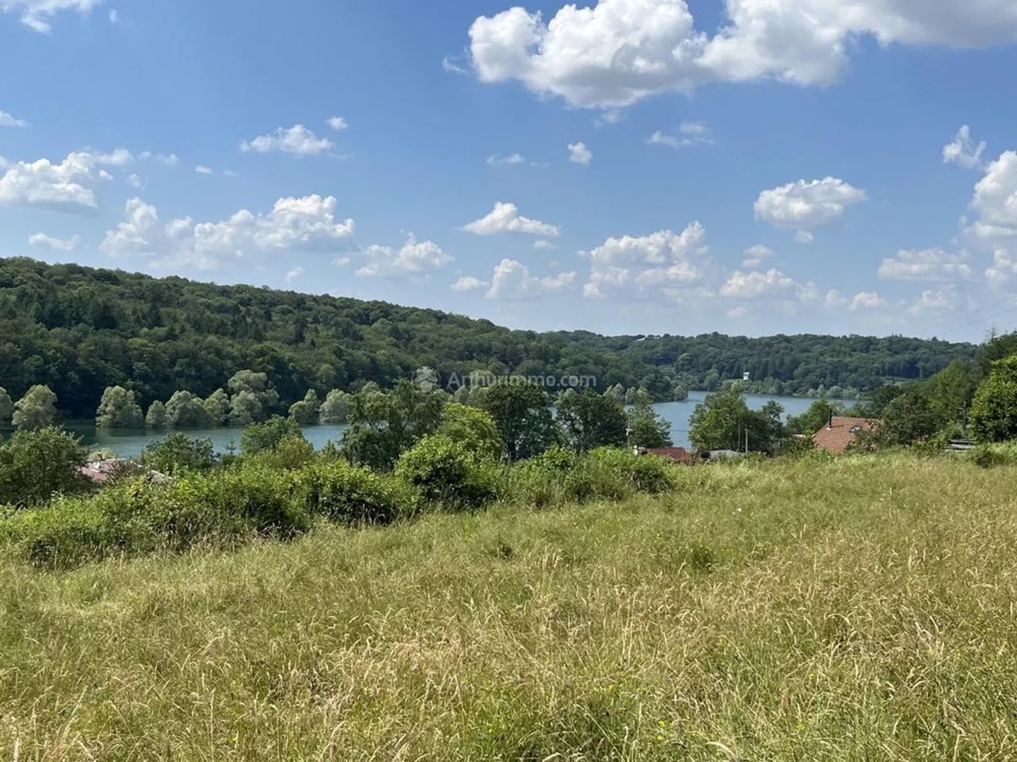 Terrain à vendre - 30000m2 - Perrancey-Les-Vie... (52200)