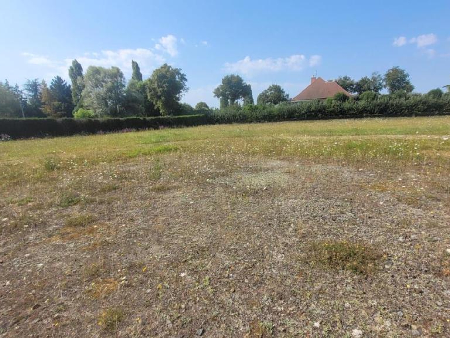 Terrain à vendre - 5000m2 - Louailles (72300)