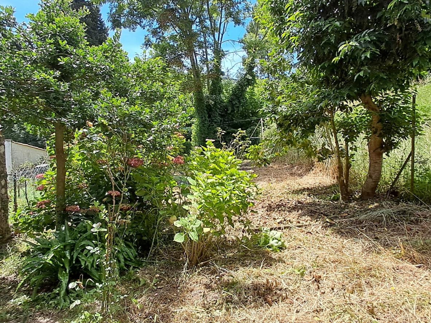 Maison à vendre - 4 pièces - 66m2 - Labastide-Rouairoux (81270)