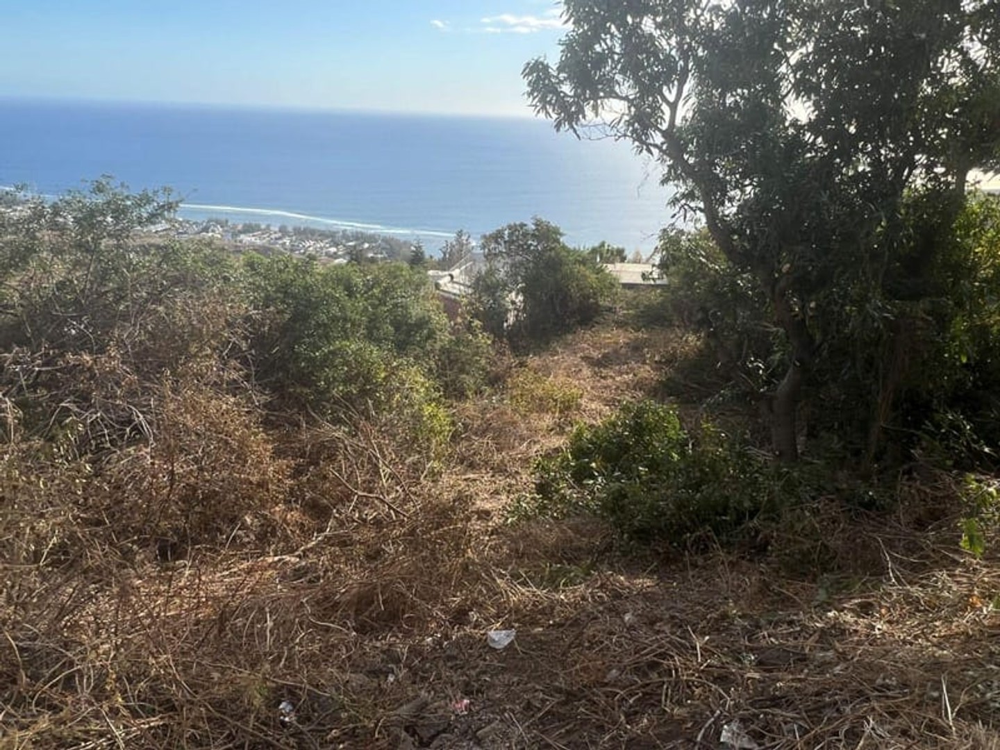 Terrain 1000 m²