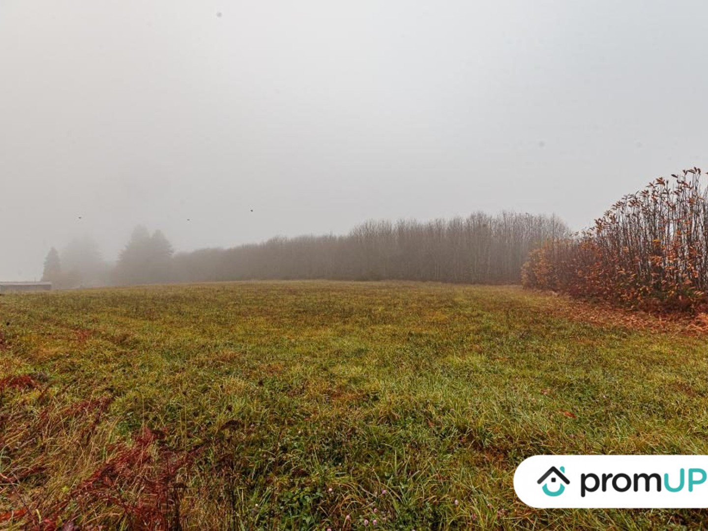 Terrain 7719 m²