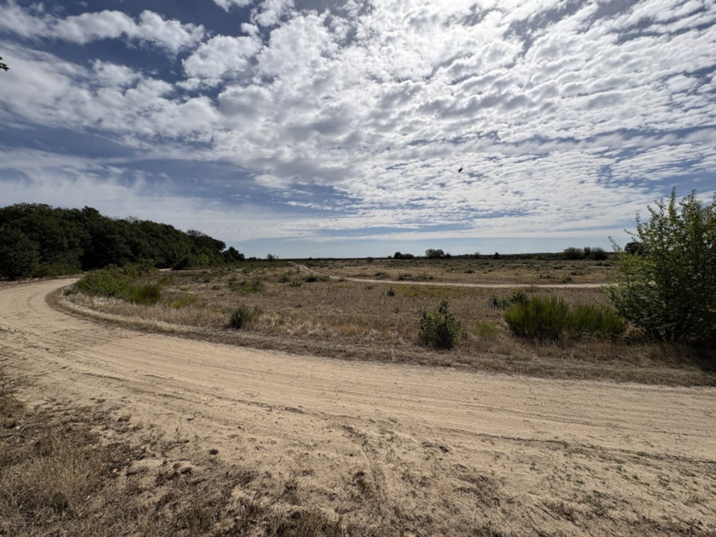 Terrain agricole 106000 m²