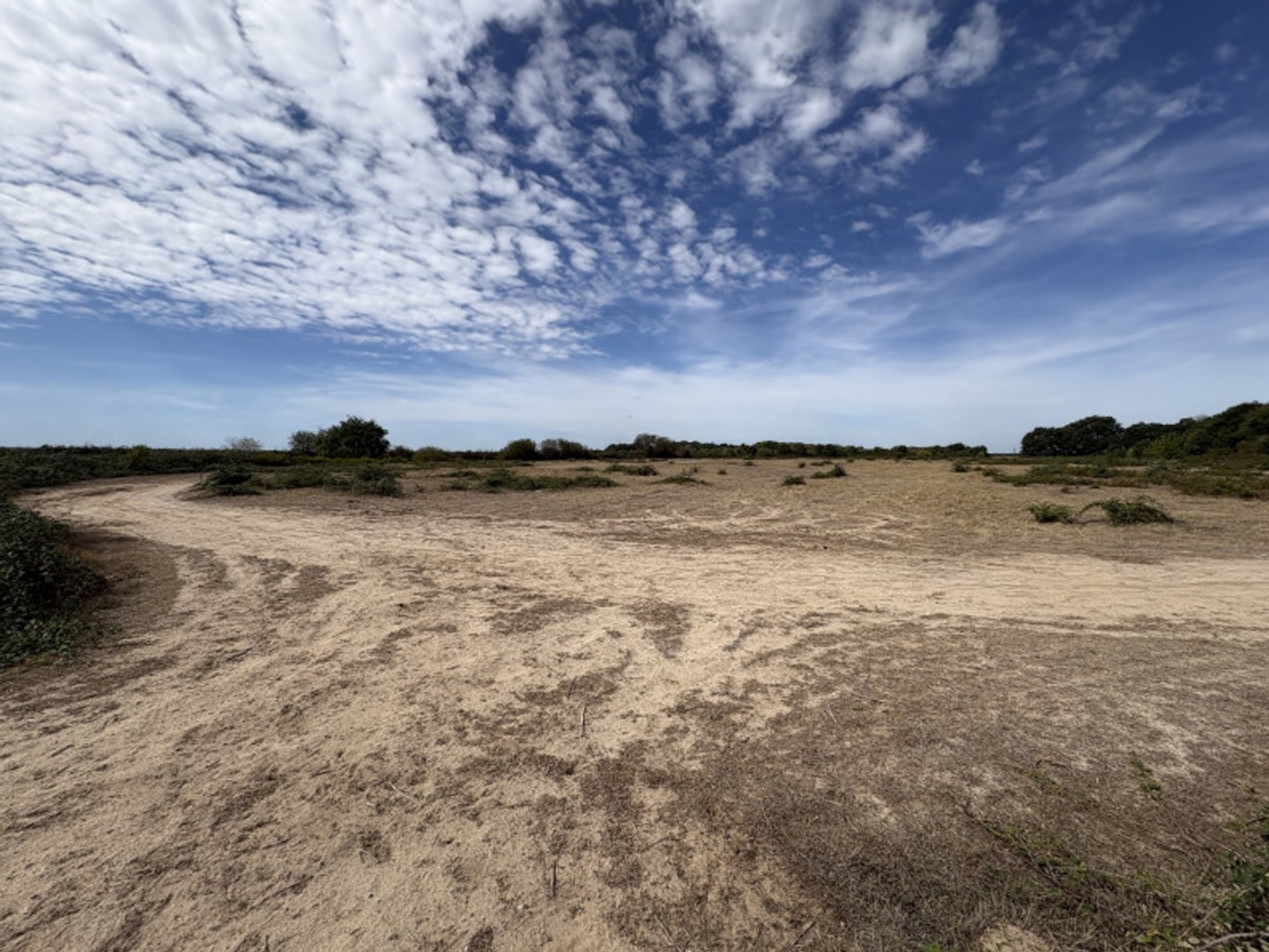 Terrain à vendre - 106000m2 - Niherne (36250)