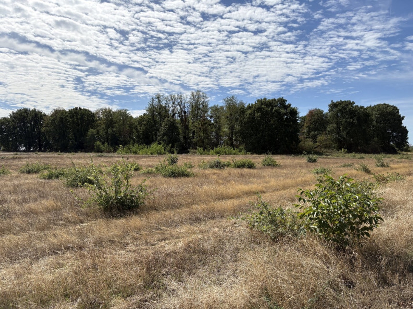 Terrain à vendre - 106000m2 - Niherne (36250)