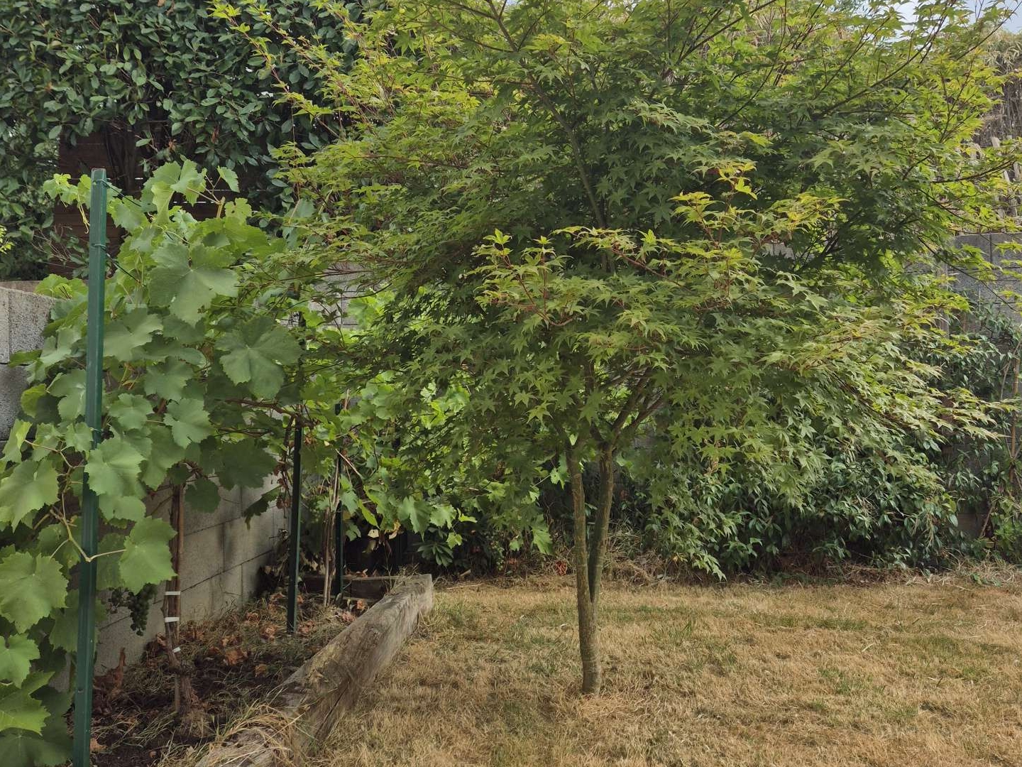 Maison 5 pièces 96 m²