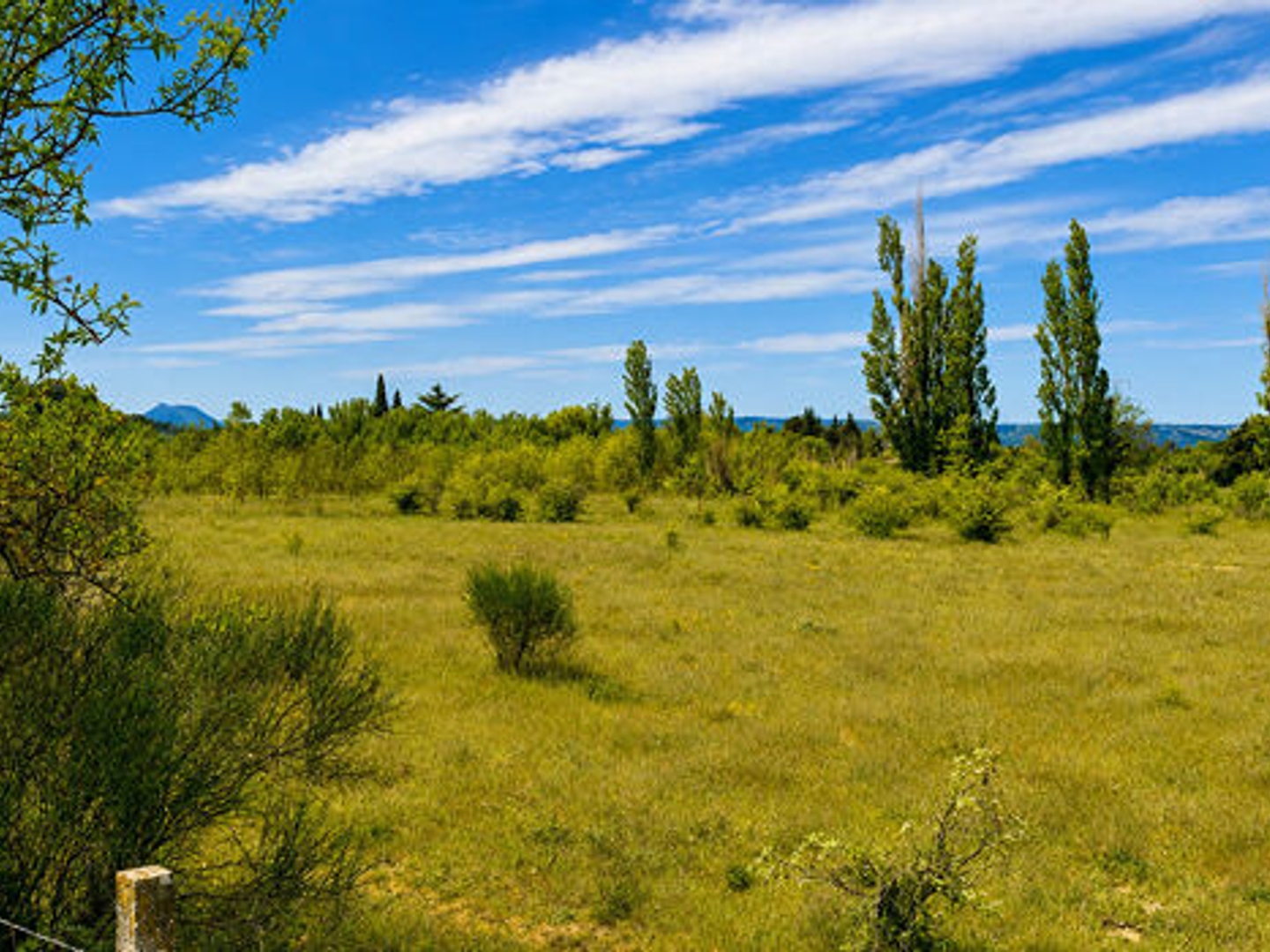 Terrain 13615 m²