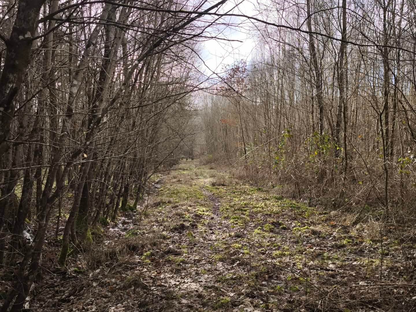 Territoire de chasse 28 hectares