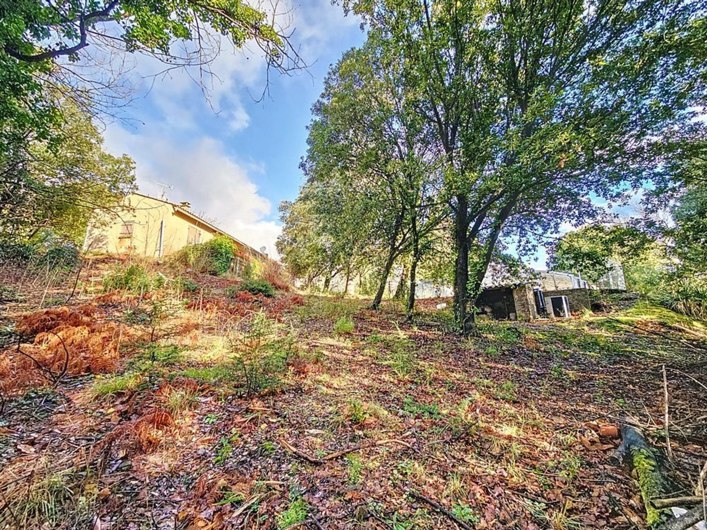 Immeuble à vendre - 9 pièces - 190m2 - Olargues (34390)
