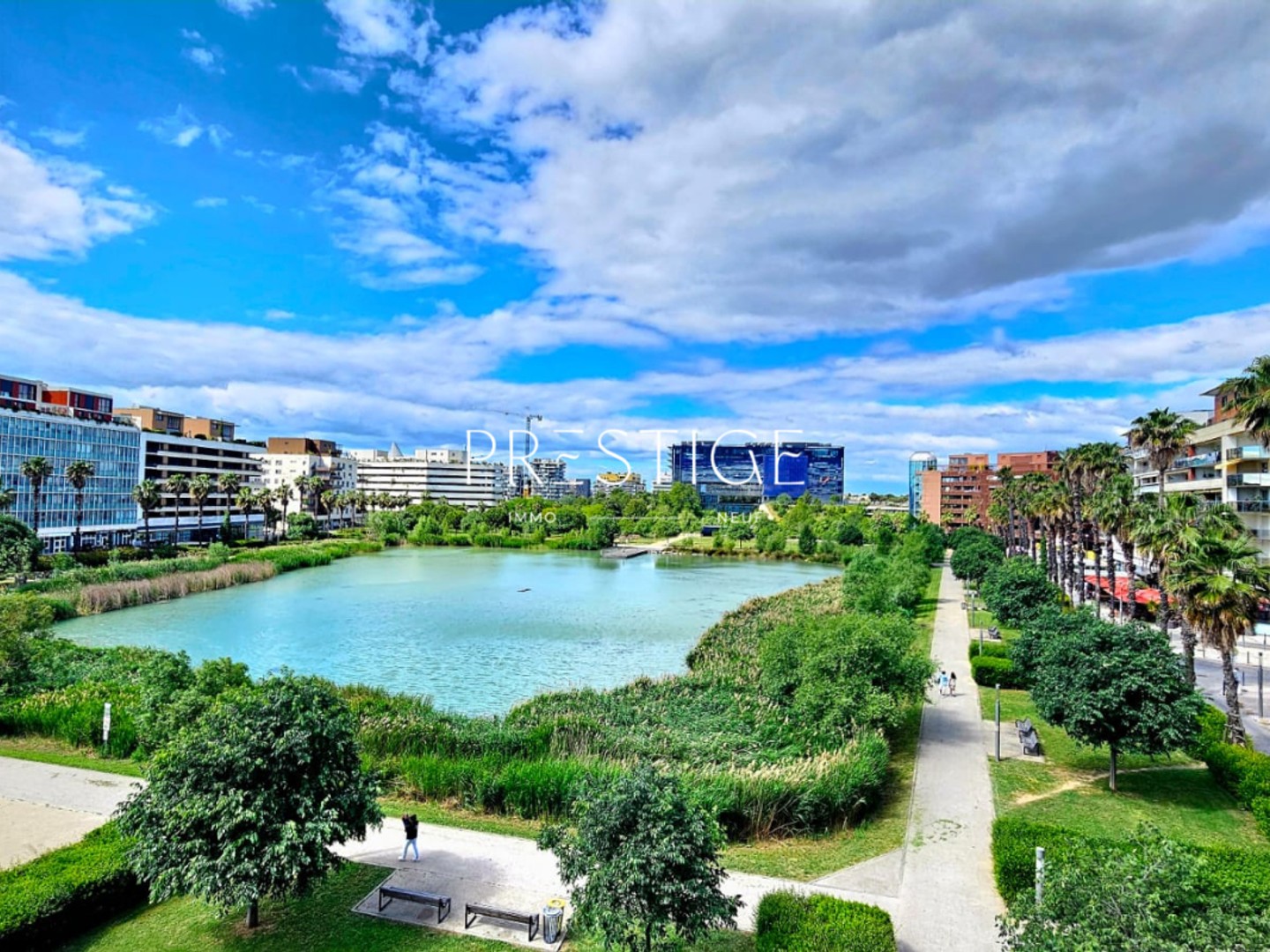 Suspendue entre ciel et eau Port Marianne, Bassin Jacques