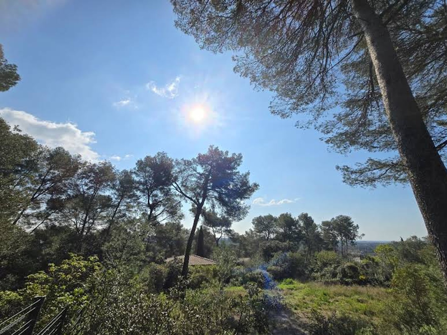 Terrain à vendre - 1865m2 - Clapiers (34830)
