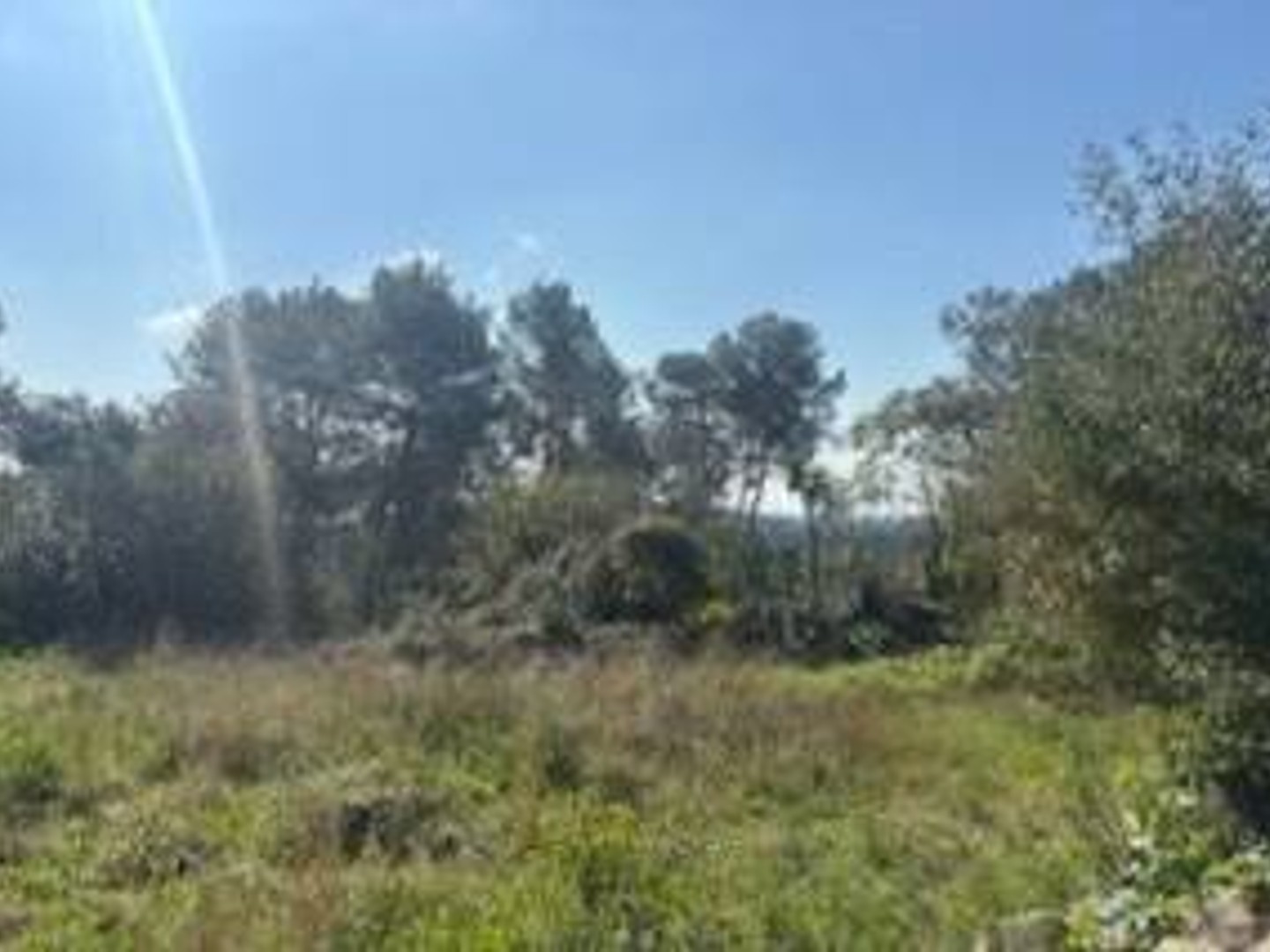 Terrain à vendre - 1865m2 - Clapiers (34830)