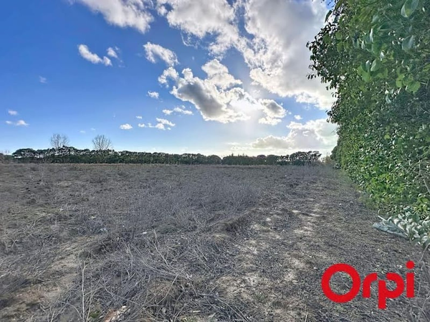 Terrain 15490 m²