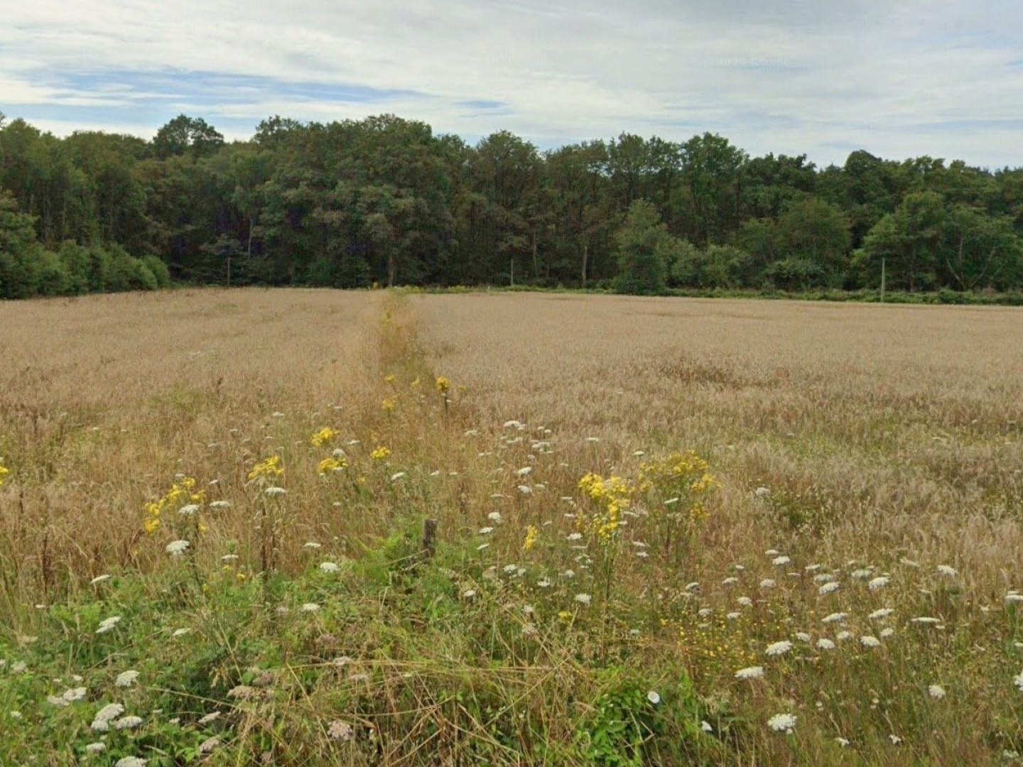 Terrain à vendre - 689m2 - Sion-Les-Mines (44590)