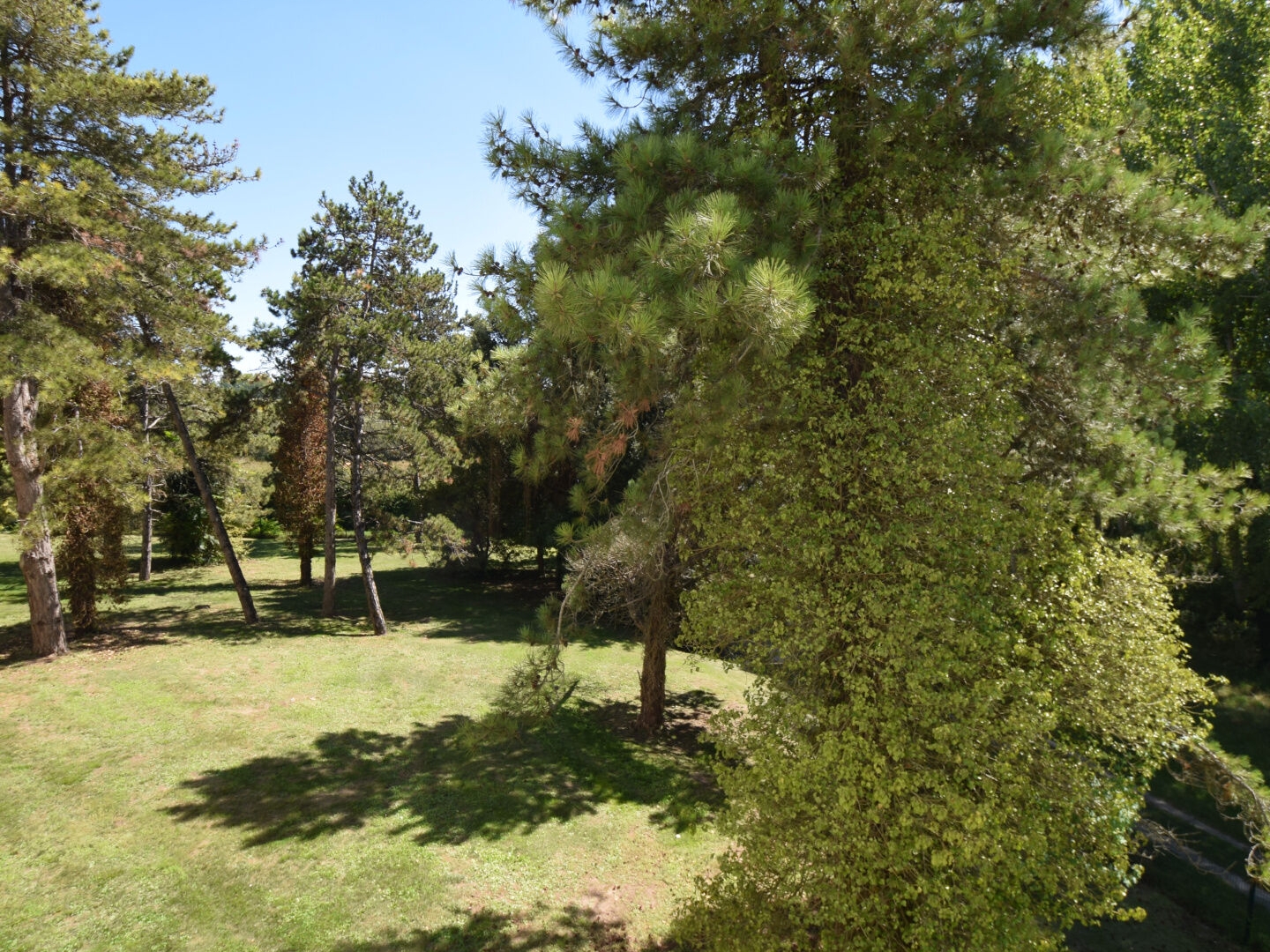 Appartement à vendre - 3 pièces - 64m2 - Royan (17200)