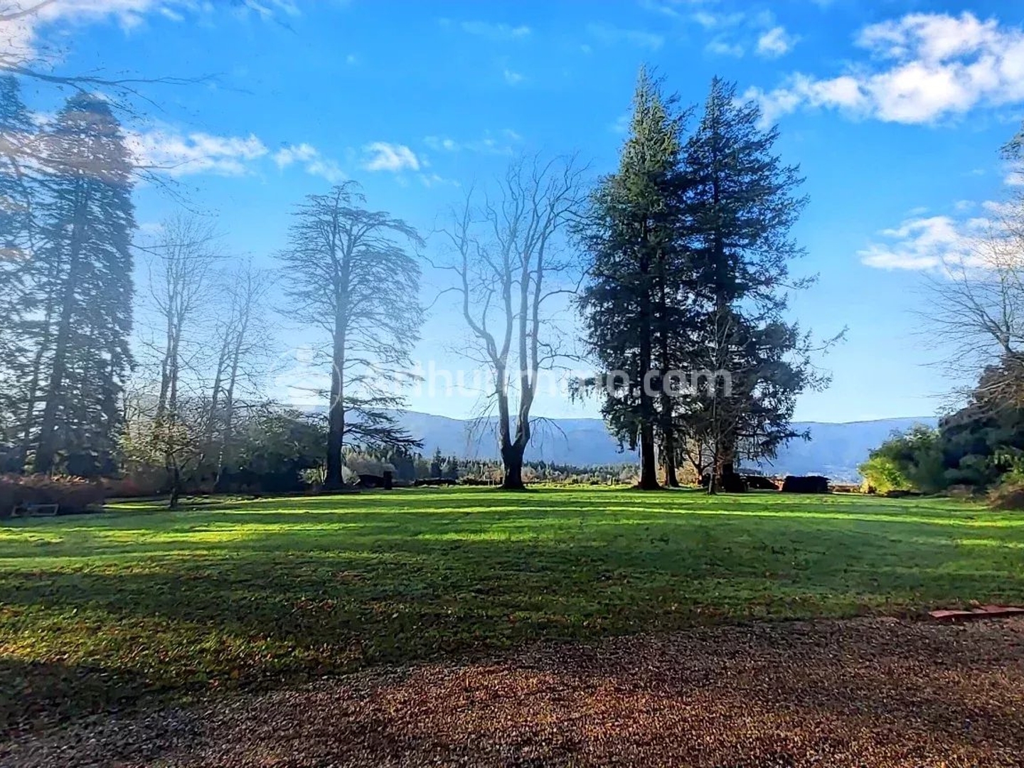 Maison à vendre - 3 pièces - 479m2 - Pont-De-Larn (81660)