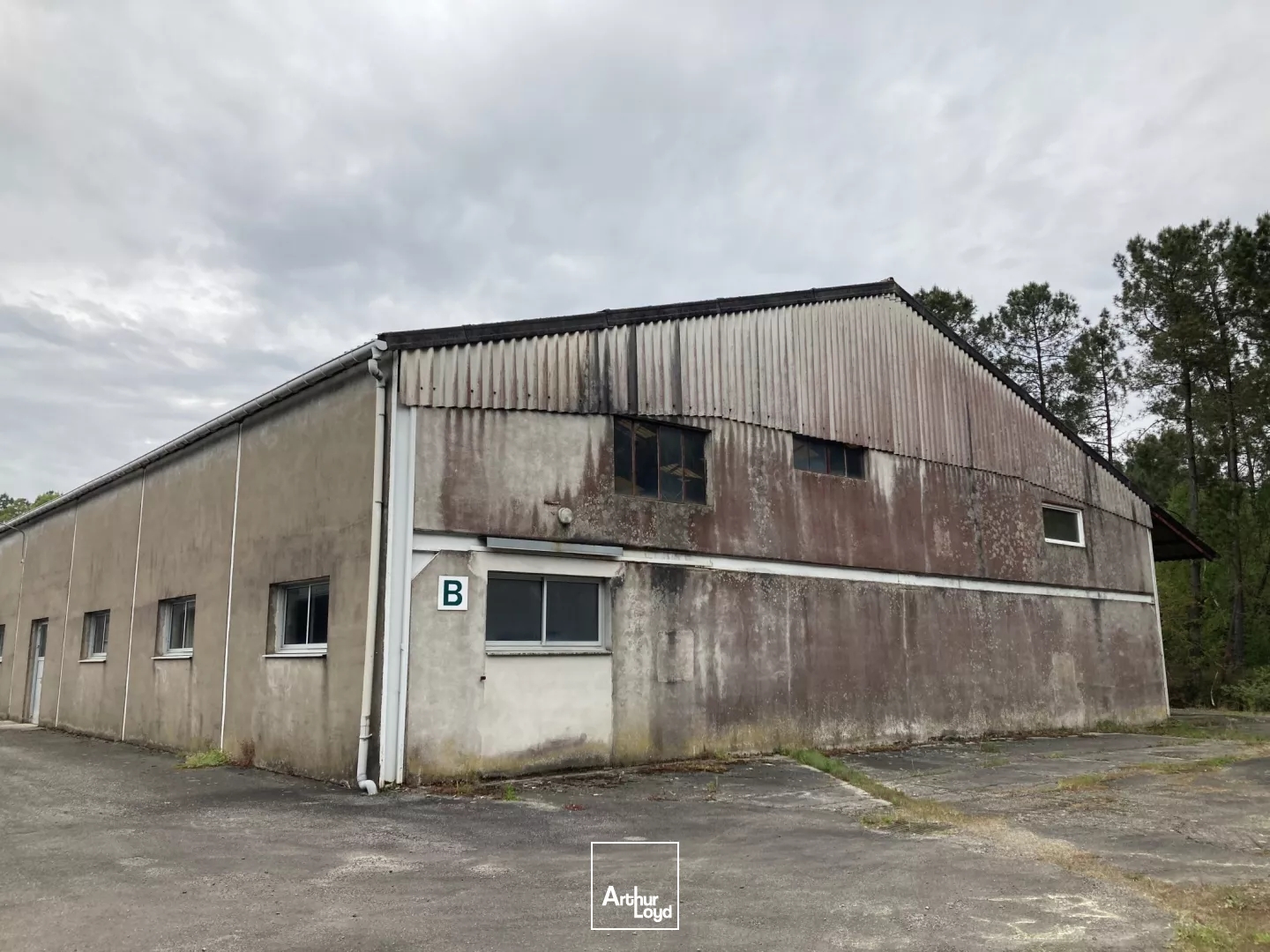 Locaux à vendre - 6123m2 - Questembert (56230)