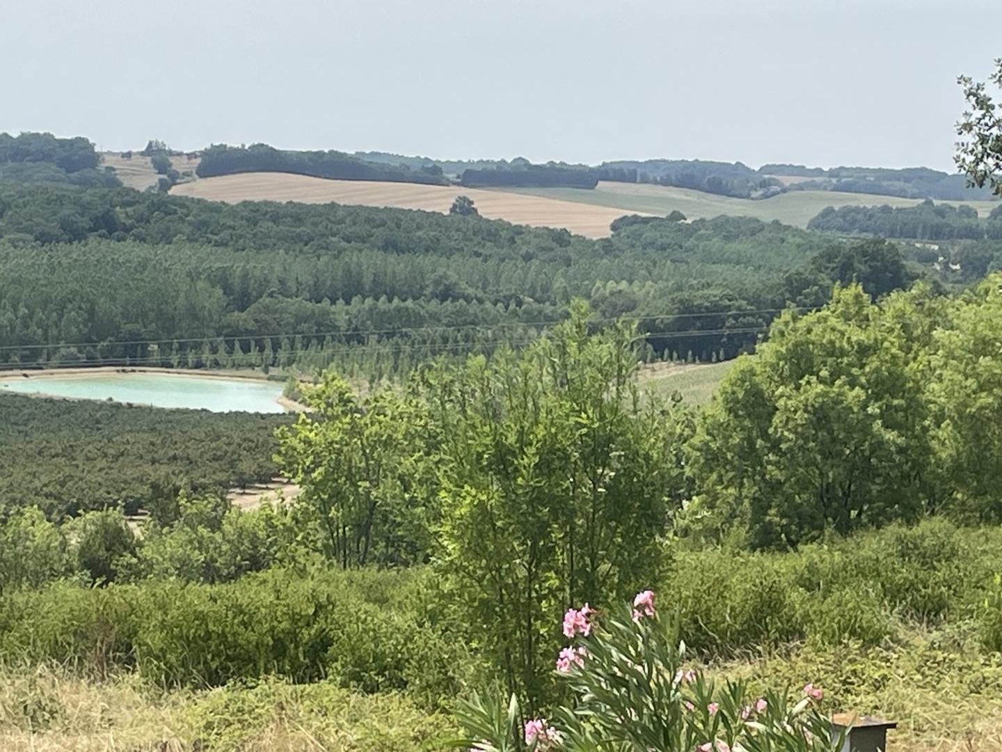 Terrain à bâtir sur les coteaux.