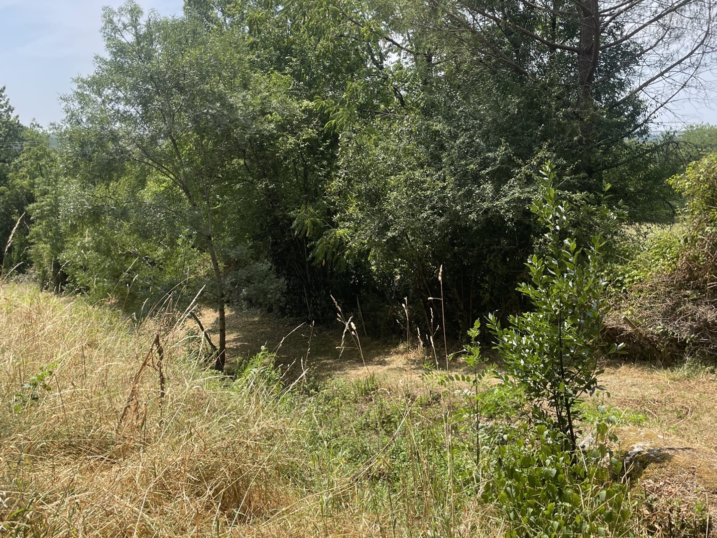 Terrain à vendre - 2650m2 - Bouglon (47250)