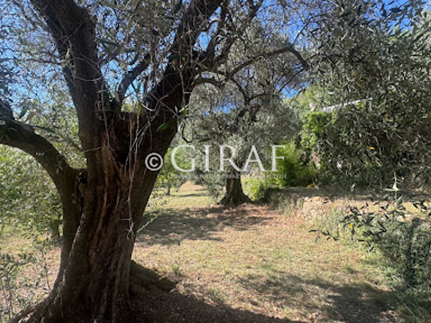 Maison à vendre - 4 pièces - 160m2 - Tourrettes-Sur-Loup (06140)