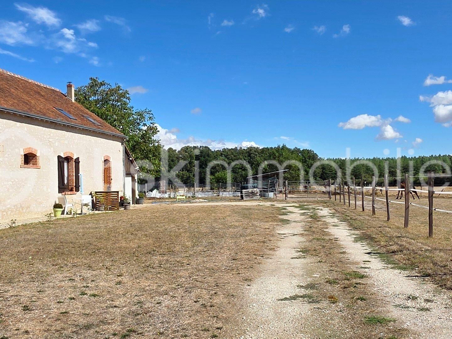 Maison à vendre - 7 pièces - 200m2 - Sury-Aux-Bois (45530)