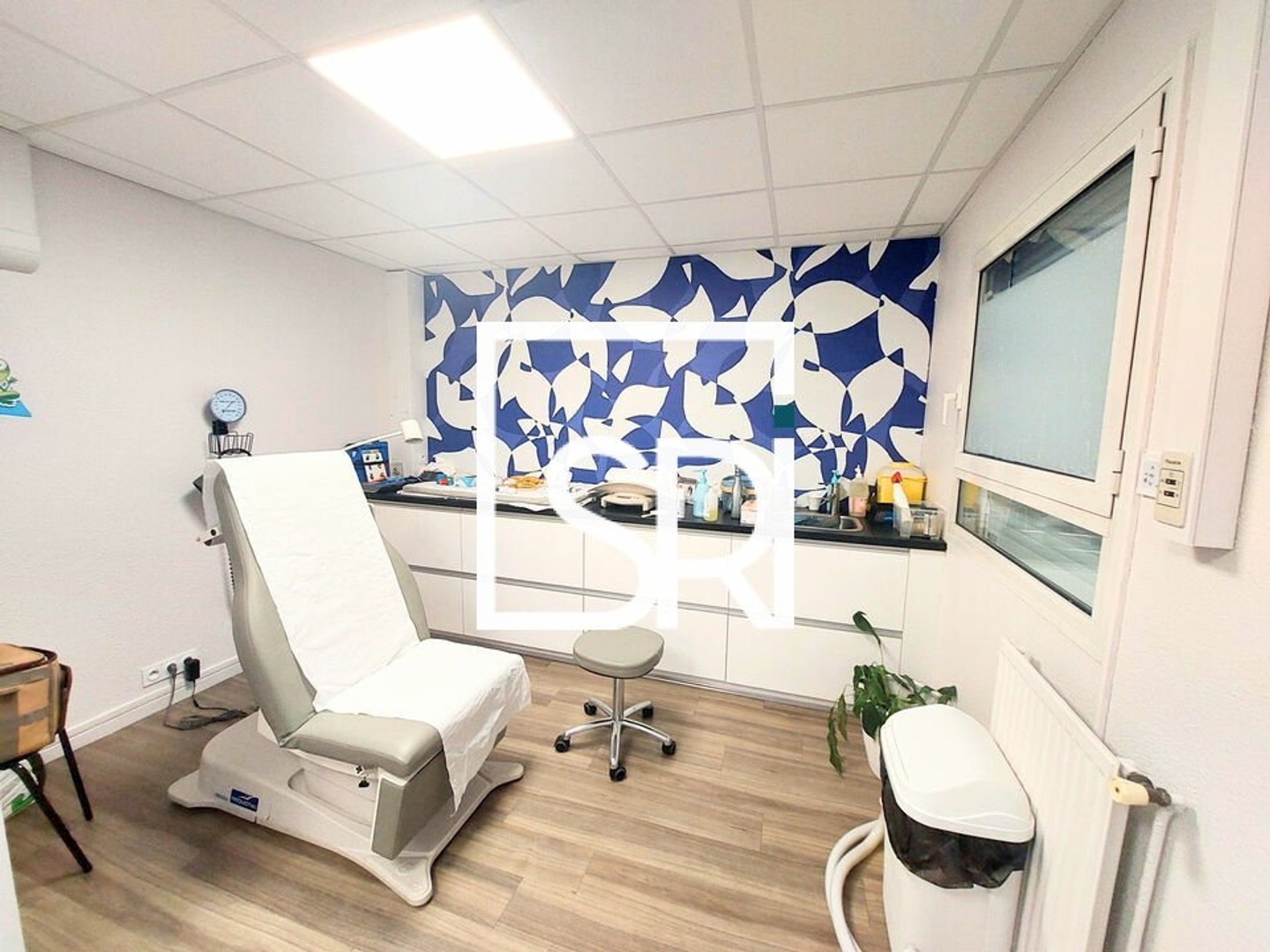 Local professionnel 199 m²