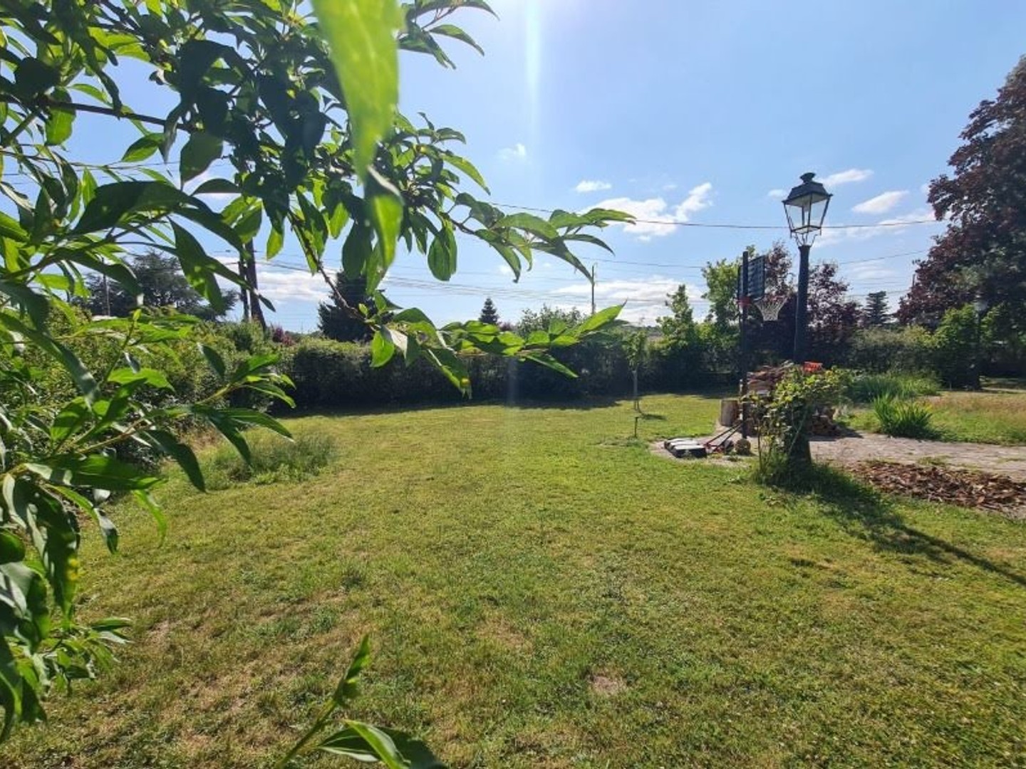 Terrain 989 m²