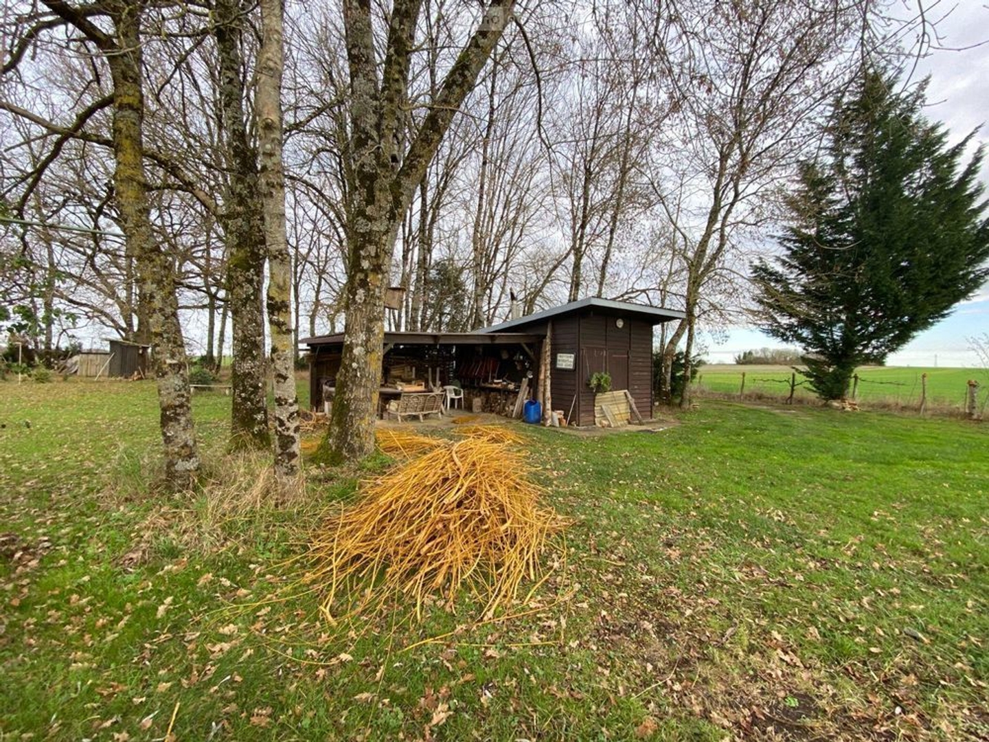 Terrain à vendre - 4000m2 - Buzançais (36500)