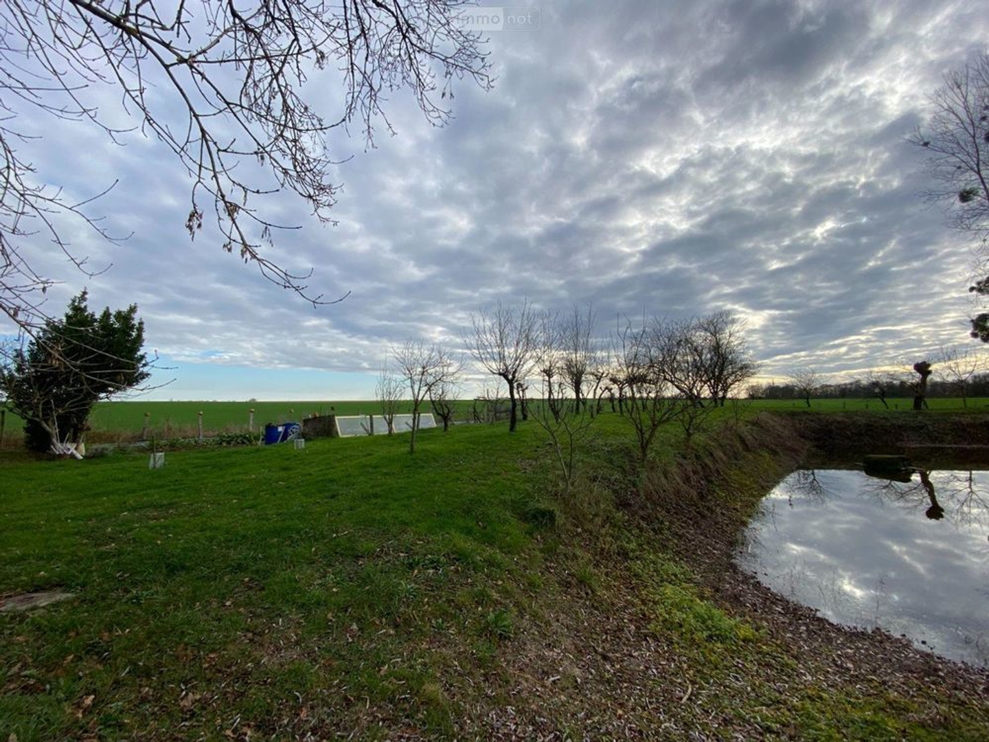 Terrain à vendre - 4000m2 - Buzançais (36500)
