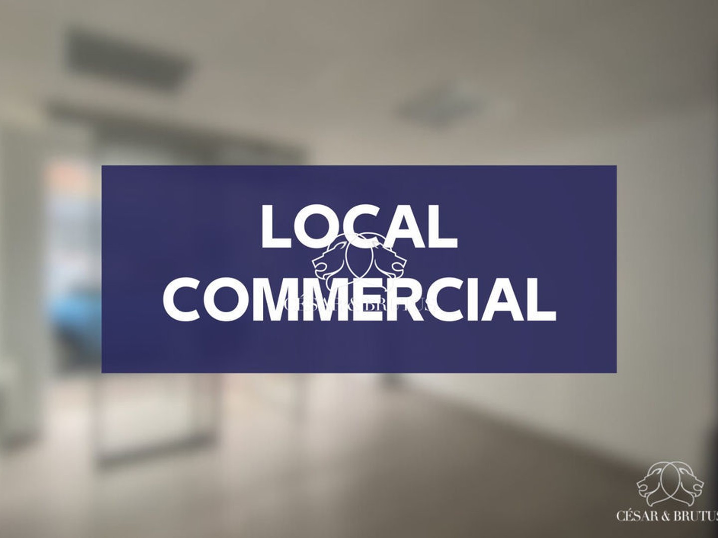 À Vendre - Local Commercial avec Studio et Stockage - Paris 16e