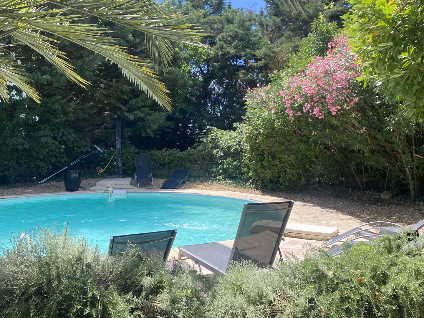 Terrain à vendre - 2870m2 - Caderousse (84860)