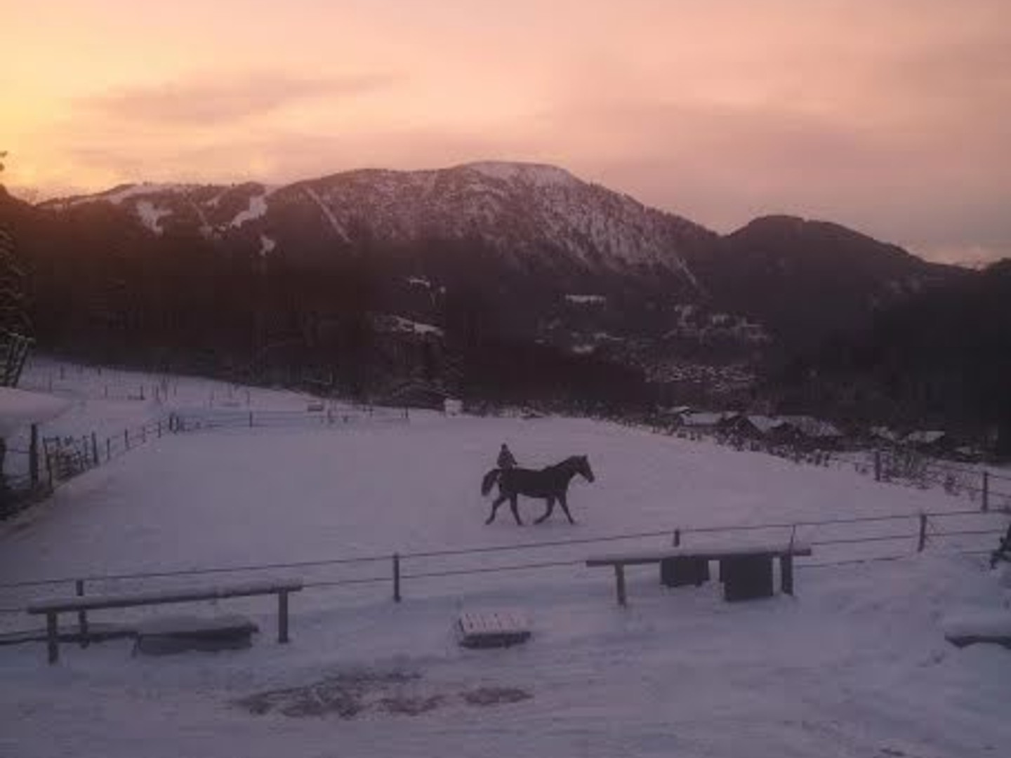 Ferme 5 pièces 400 m²