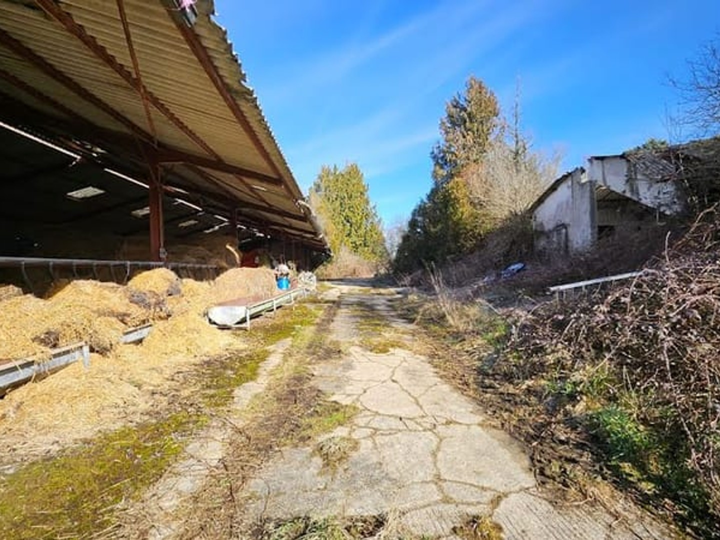 Maison à vendre - 4 pièces - Le Chalard (87500)
