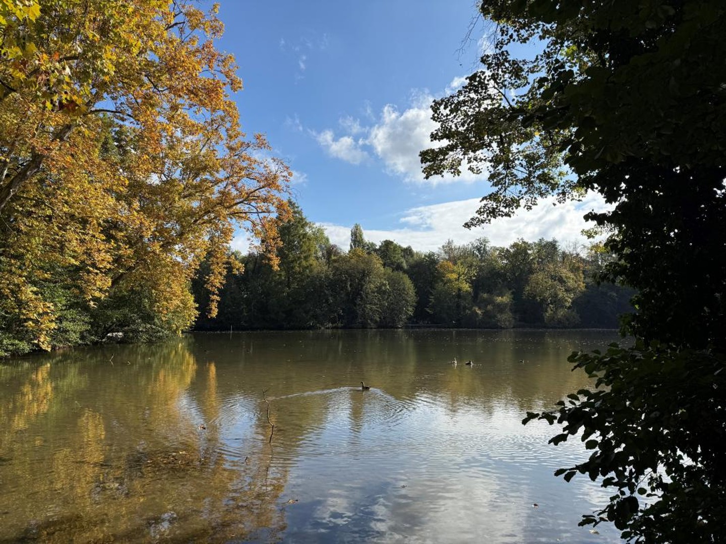 Les Jardins du Sud à Strasbourg
