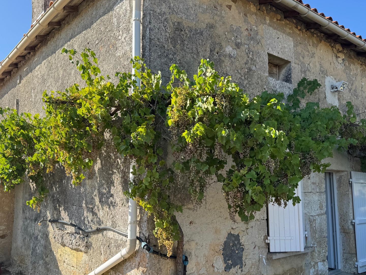 Maison à vendre - 4 pièces - 100m2 - Dignac (16410)