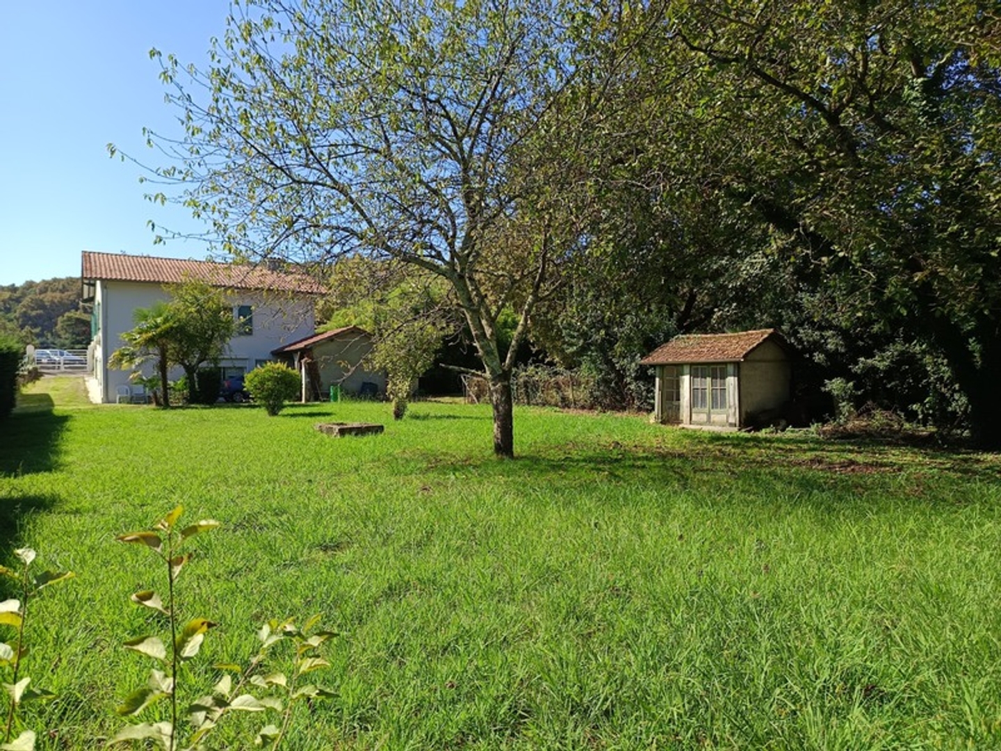 Maison à vendre - 6 pièces - 170m2 - Aire-Sur-L'adour (40800)