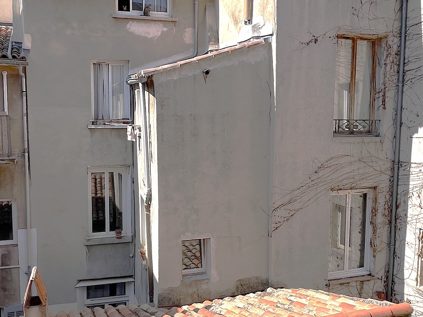 Appartement 2 pièces 35 m²
