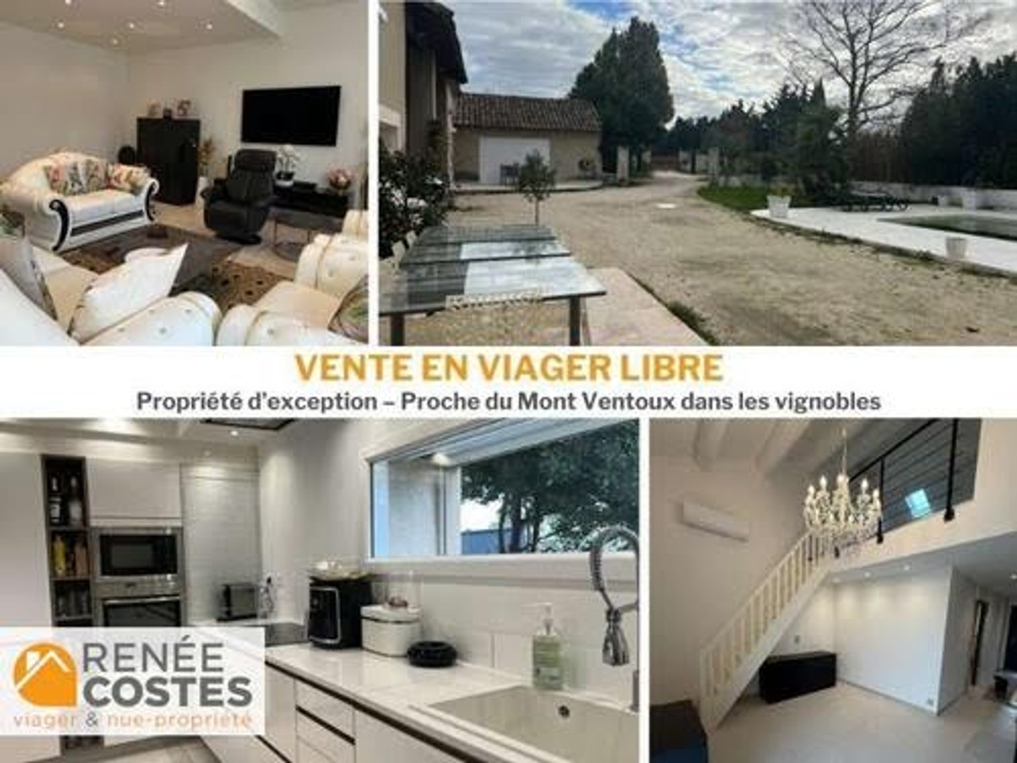 Viager 8 pièces 320 m²