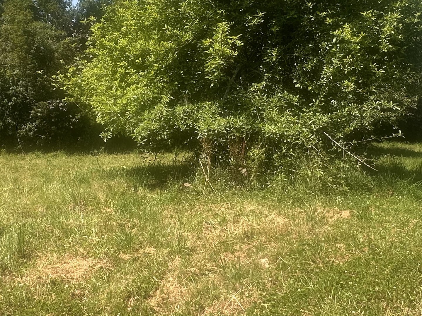 Maison à vendre - 4 pièces - 74m2 - Saint-Pierre-De-C... (27260)