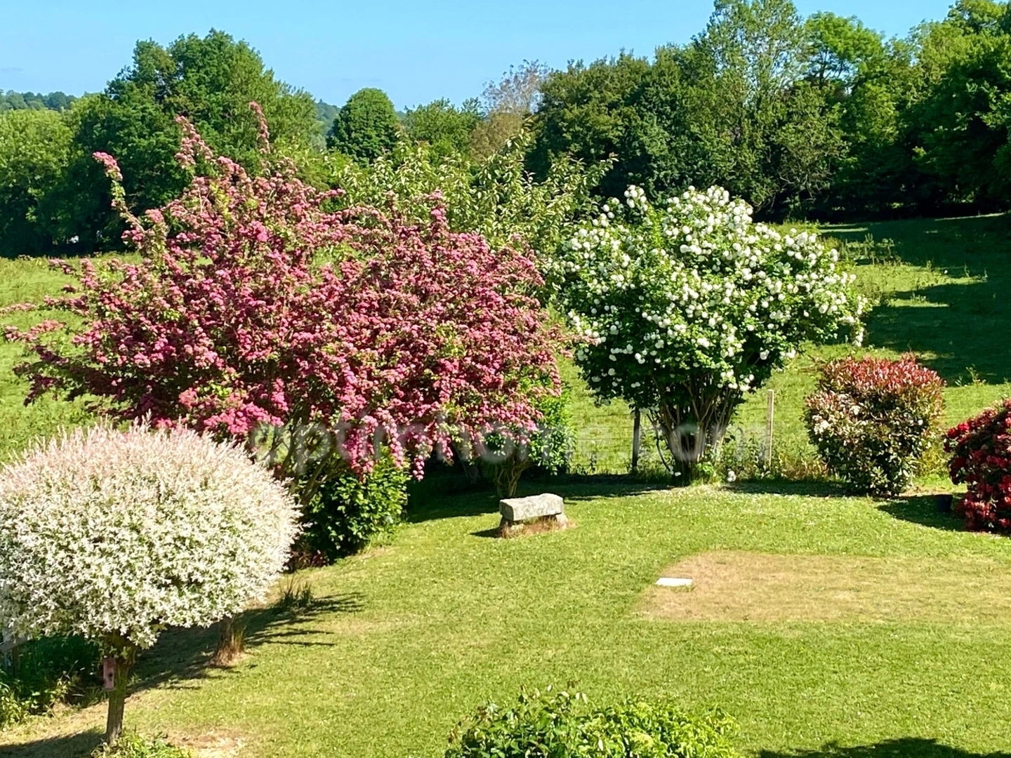 Maison à vendre - 5 pièces - 120m2 - Saint-Germain-De-... (14100)