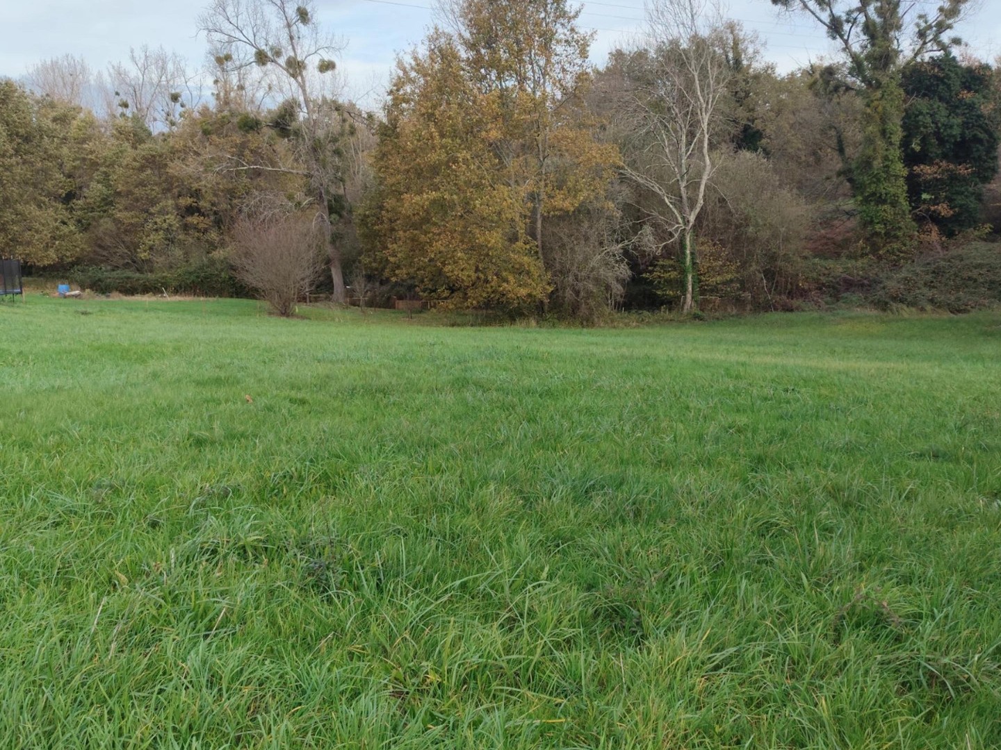 Terrain 4714 m²