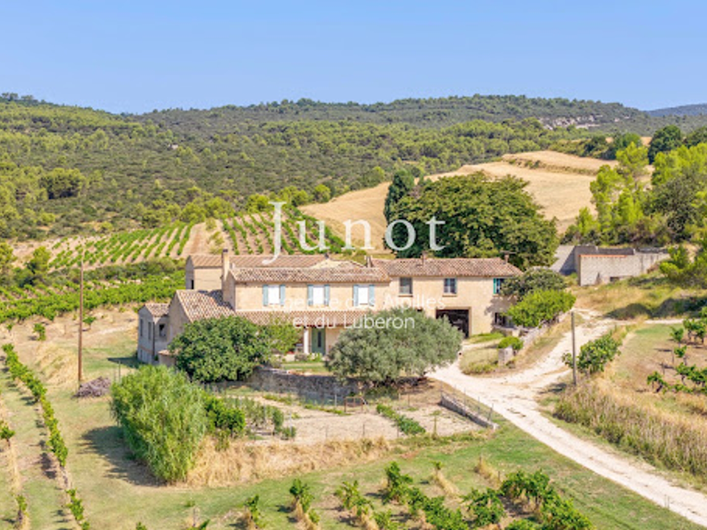 Vignoble 710000 m²