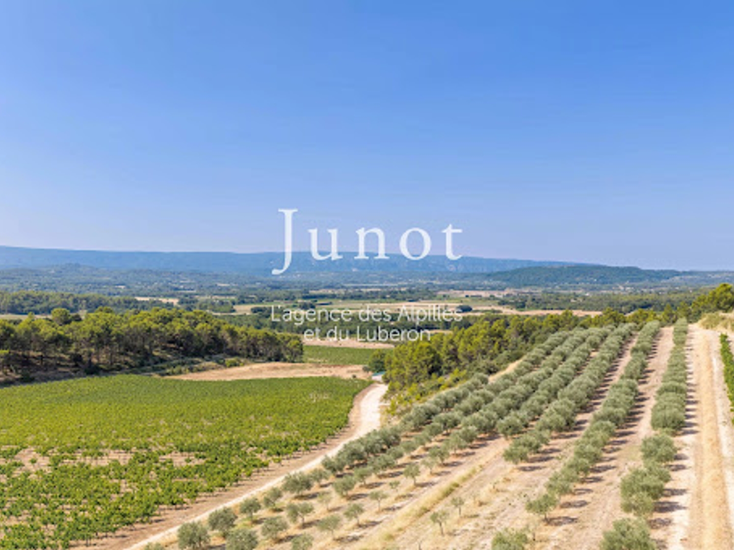 Terrain à vendre - 710000m2 - Murs (84220)