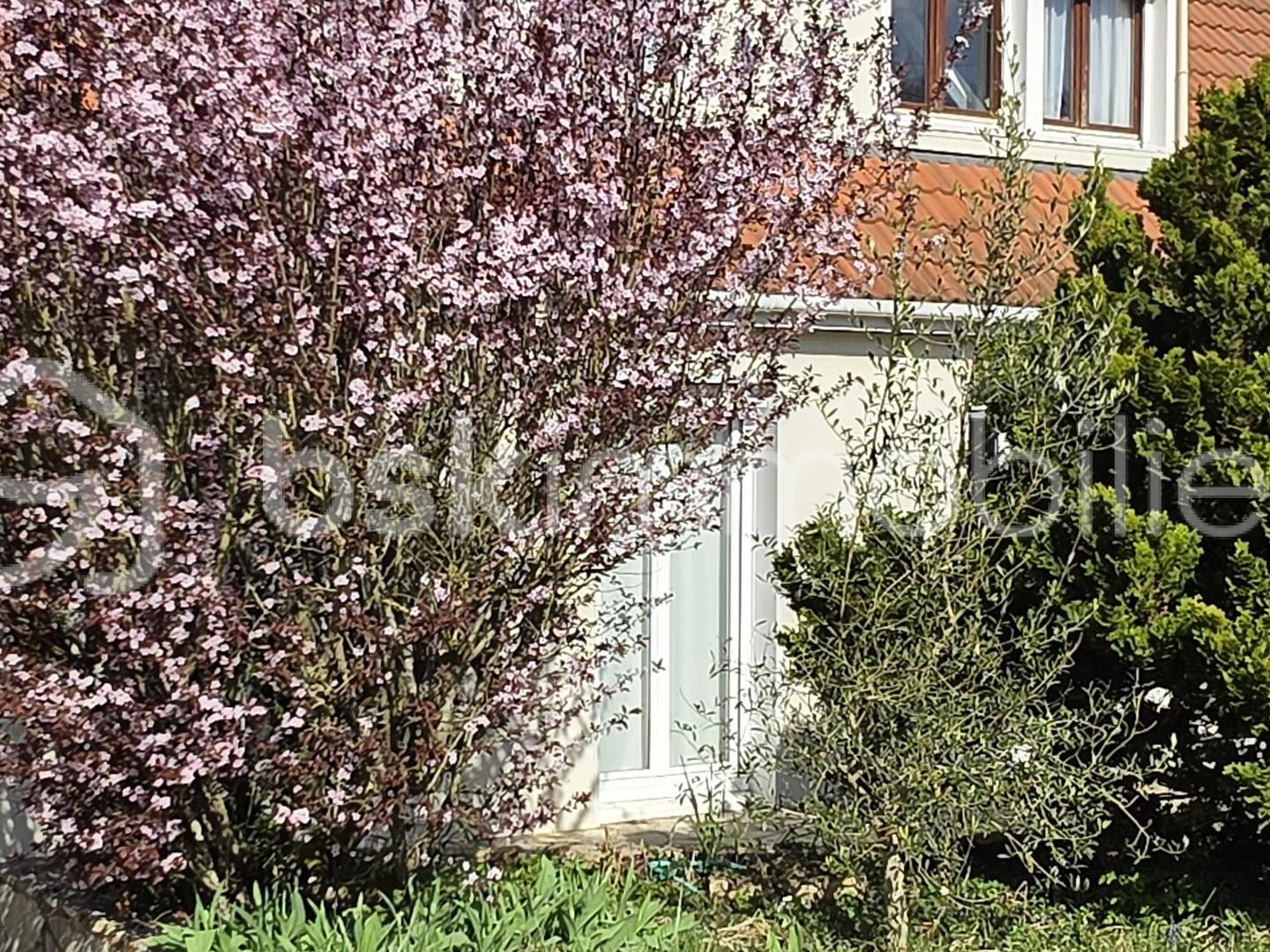 Maison 8 pièces 166 m²