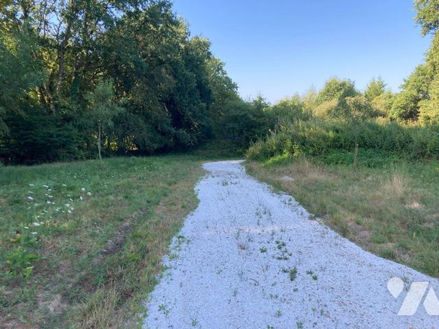 Terrain à vendre - 12000m2 - Saint-Aubin-Du-Co... (35140)