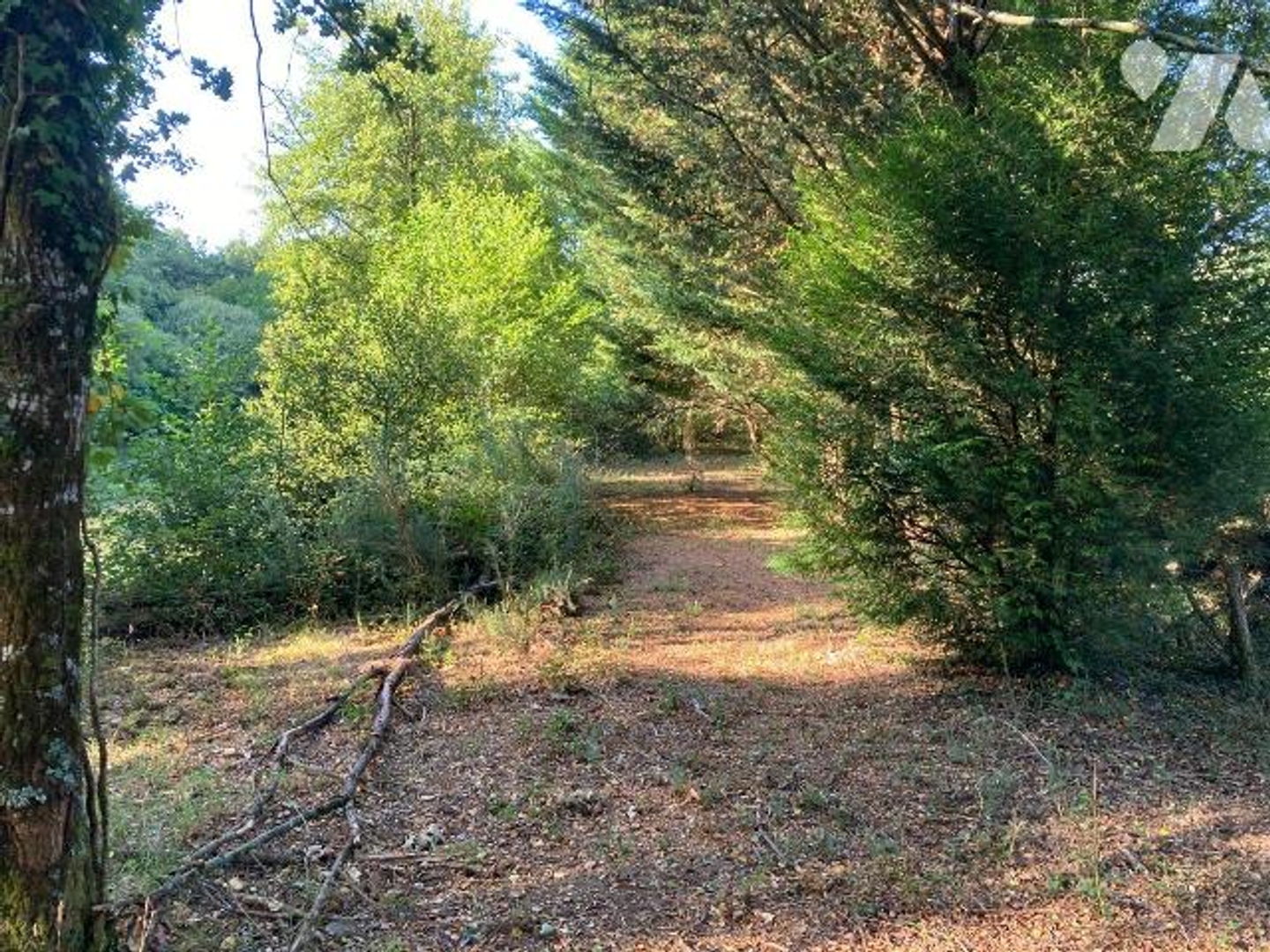Terrain à vendre - 12000m2 - Saint-Aubin-Du-Co... (35140)